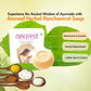 Anuved Panchamrut Soap - 125g