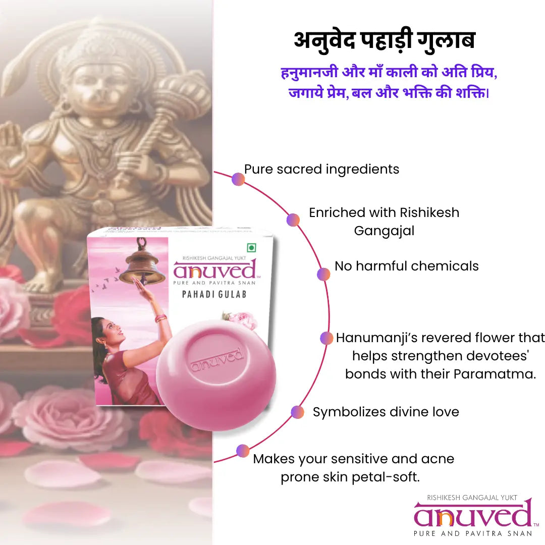 Anuved Pahadi Gulab [Rose] Soap - 125g - Pack of 1